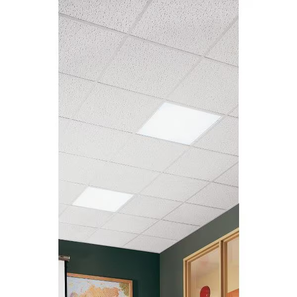 Armstrong Fissured Ceiling Tile, 24 in W x 24 in L, Square Lay-In, 15/16 in Grid