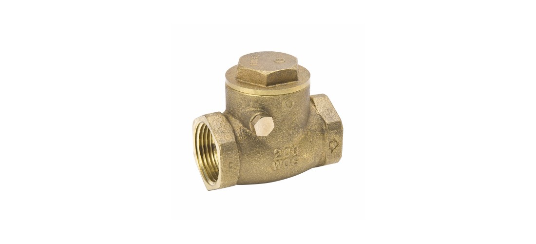 ProLine Series Check Valve, 1/2 in, IPS, 200 psi Pressure, Brass Body
