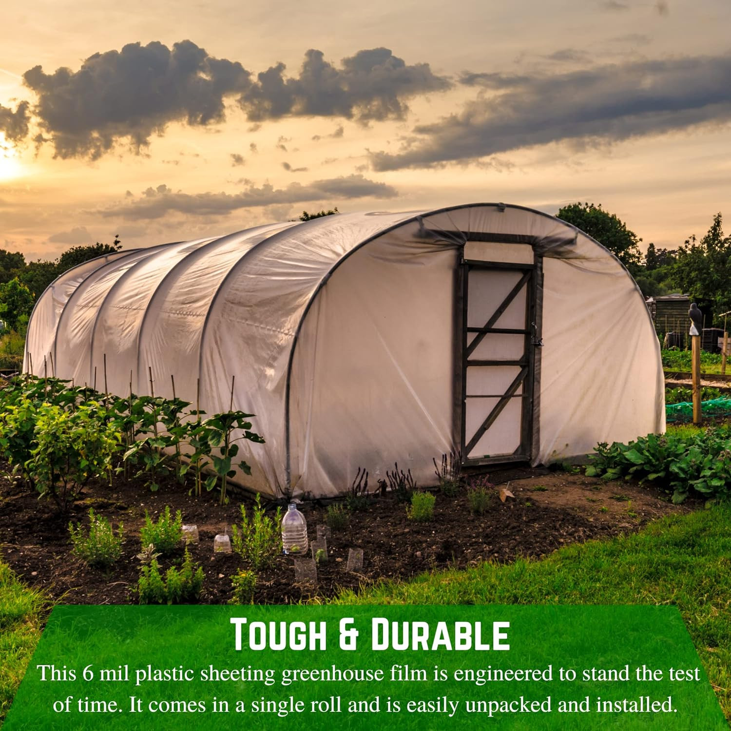 Clear Greenhouse Plastic Sheeting – 6 Mil – (25′ X 40′) – Hoop House Green House