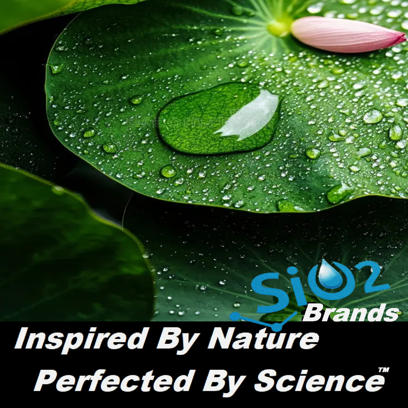 NANO ROOF SEALER CERAMIC COATING ASPHALT SHINGLES UV STAIN PROTECTION