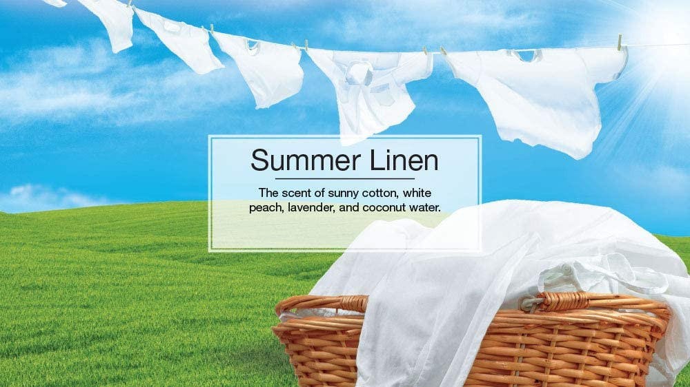 Little Trees 60574 Summer Linen Hanging Air Freshener for Car & Home 12 Pack!