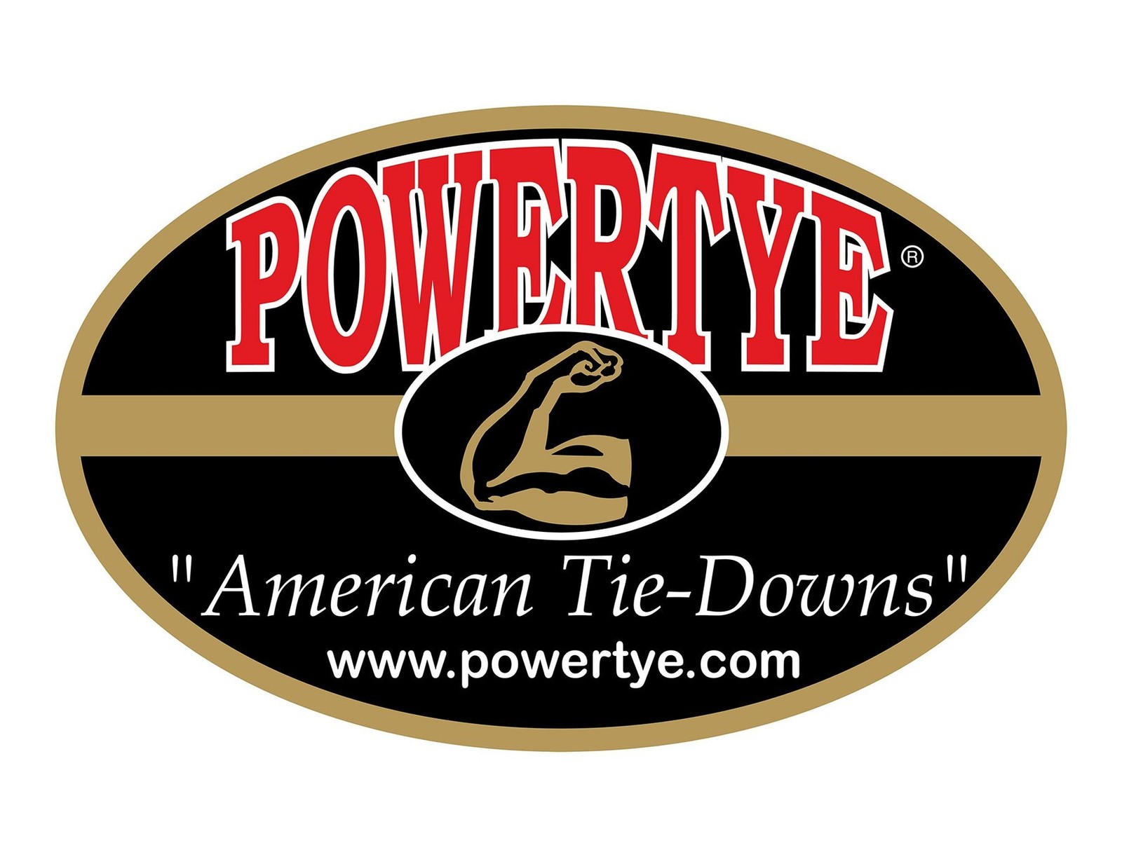 Powertye 15in x 30in Elastic Cargo Net with 10 Adjustable Hooks and Tight 2in…