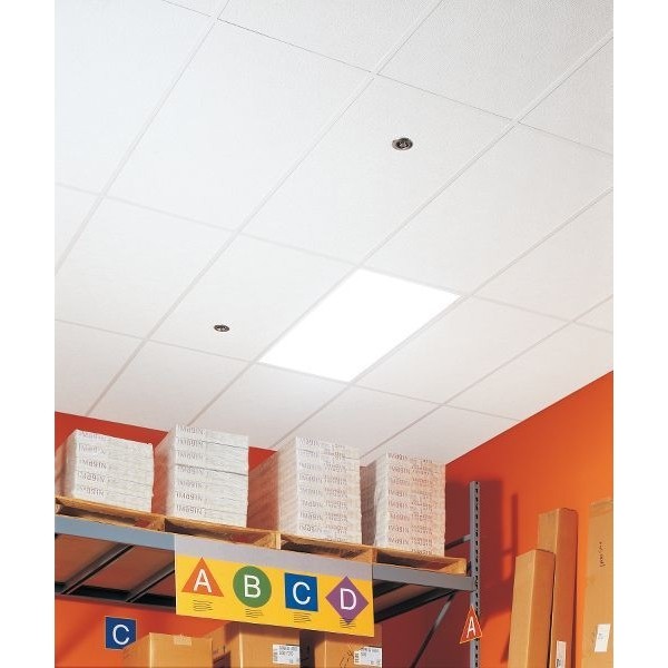 Armstrong 2906 Shasta Ceiling Tile, 24 In W X 48 In L, Square Lay-In, 15/16 In