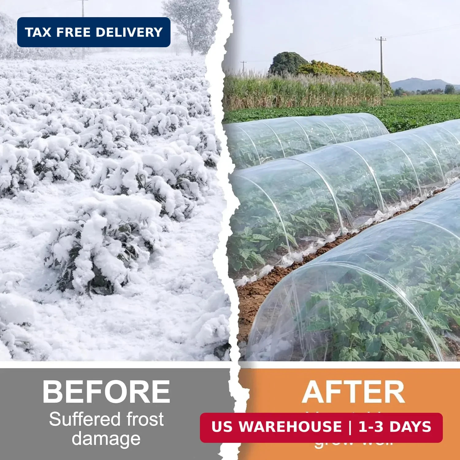 6 Mil Greenhouse Plastic Sheeting, 11×25 FT Clear Greenhouse Cover | Heavy Duty,