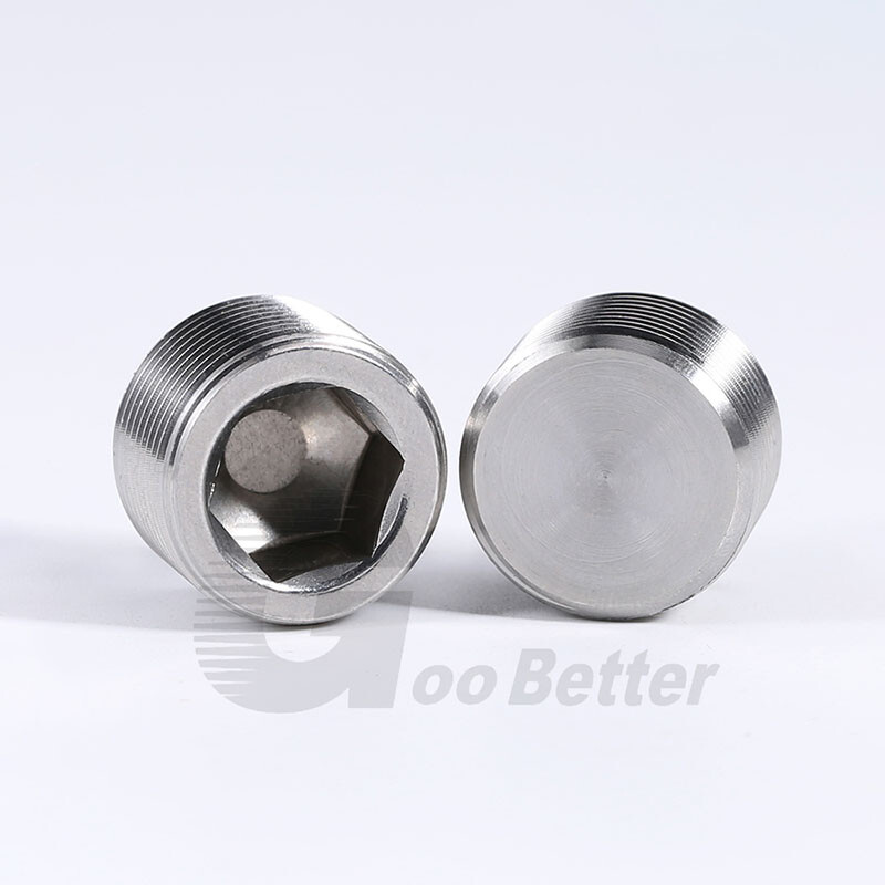 Allen Socket Male Plug A2 Stainless Steel Internal Hex Head Blanking Plug PT/NPT