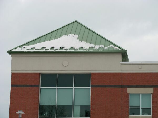 Snow Guards Metal Roof SnoBlox® Ace 20 pcs with Screws & Sealant