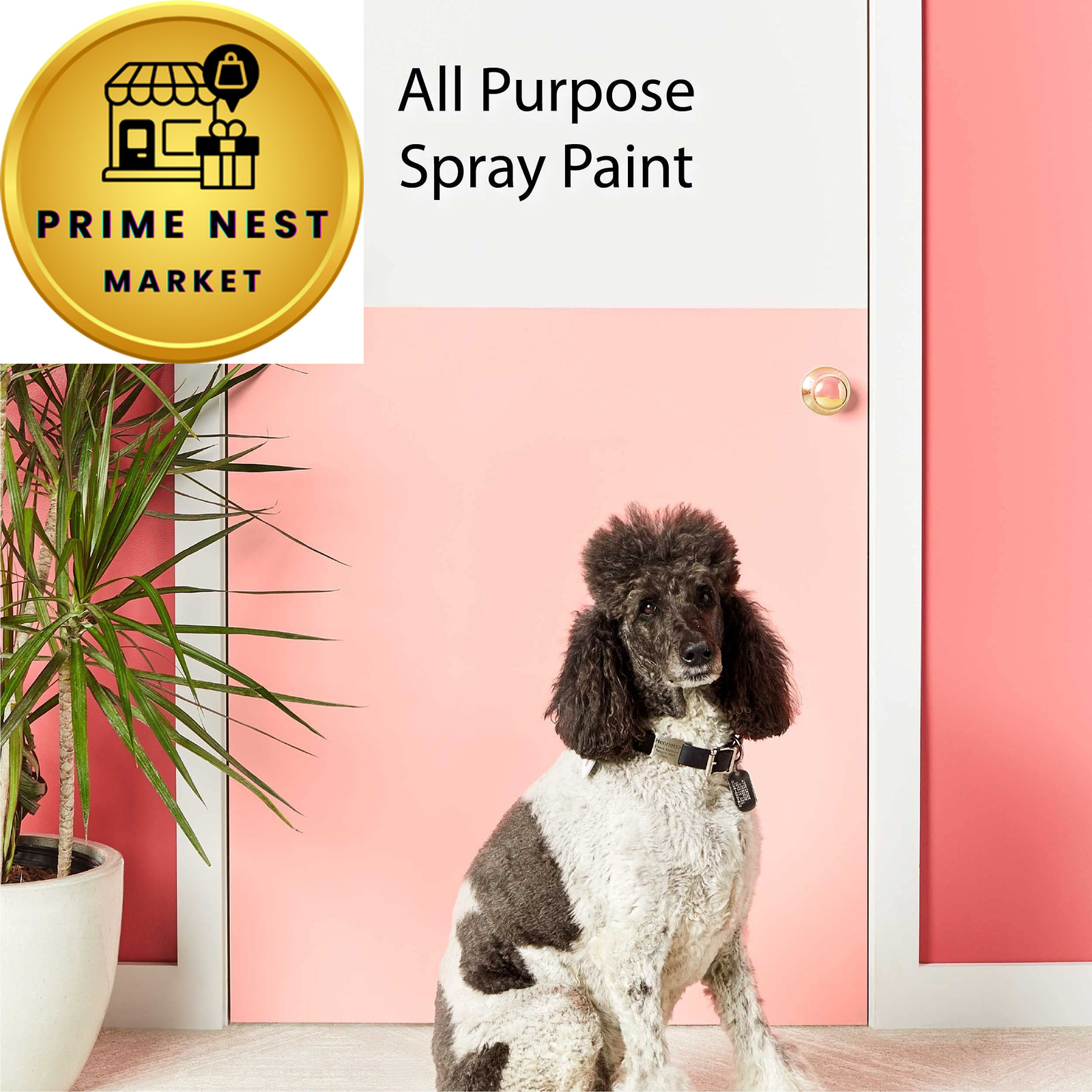 Krylon K05566007 COLORmaxx Spray Paint 12 Ounce (Pack of 1), Italian Olive
