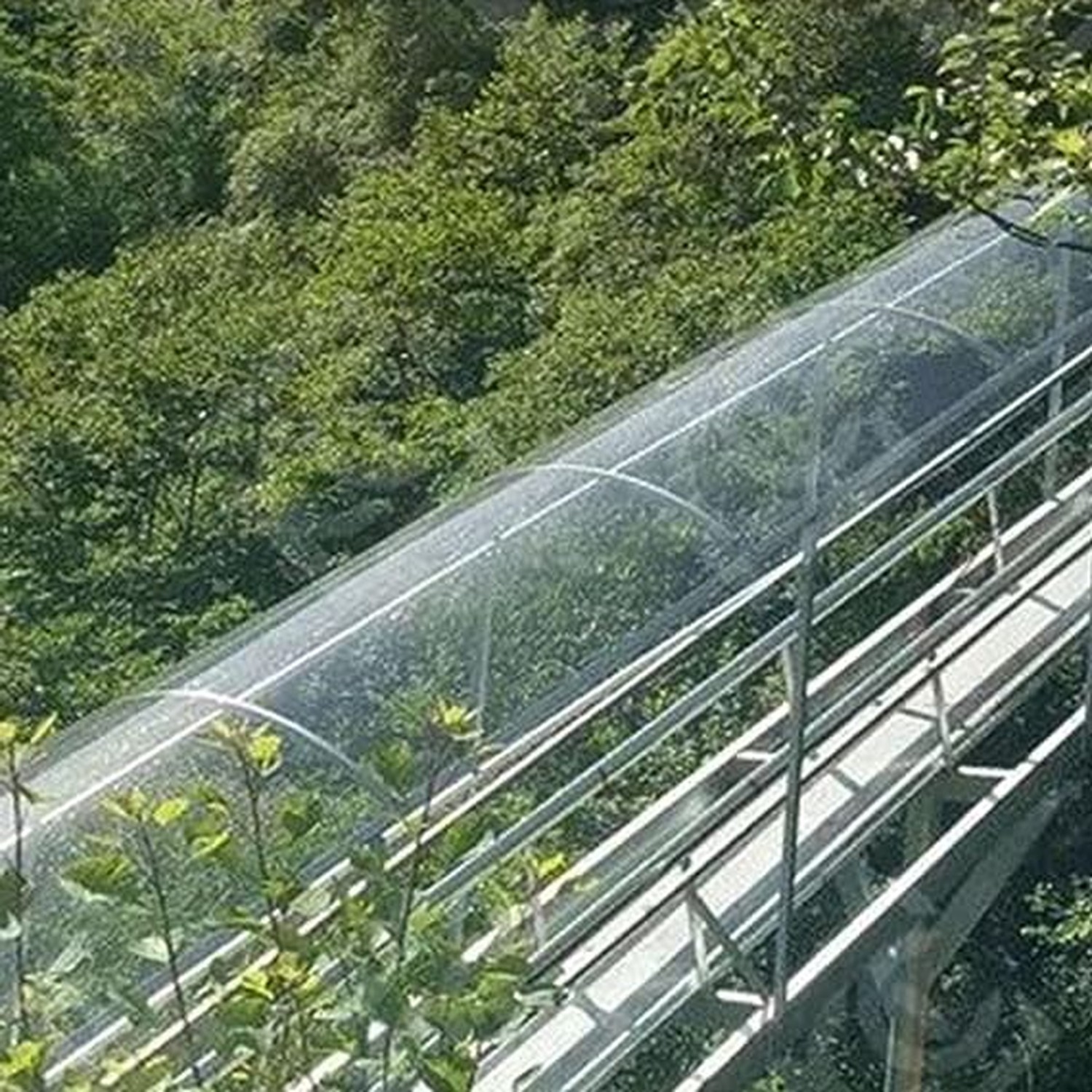 Clear Polycarbonate Roofing Sheet, Plastic UV Resistant Greenhouse Shed Canop…
