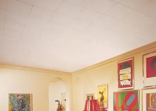 Usg Interiors Ceiling Tile 1X1 By Usg Mfrpartno 824290