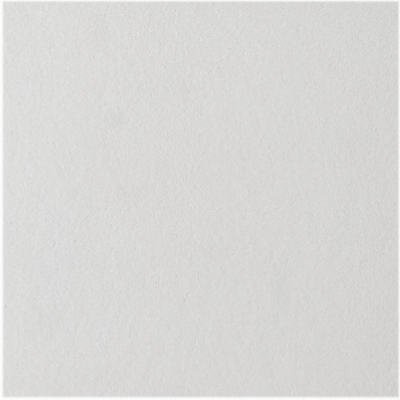 Usg Interiors Ceiling Tile 1X1 By Usg Mfrpartno 824290