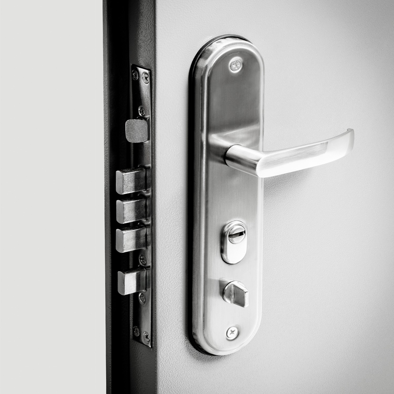 VIZ-PRO Quick Mount Steel Security Door 34 5/8″ – 37″ with Frame and Accessories