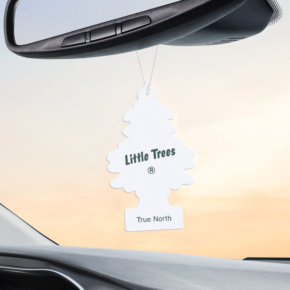 Little Trees 67146 True North Hanging Air Freshener for Car & Home 24 Pack!