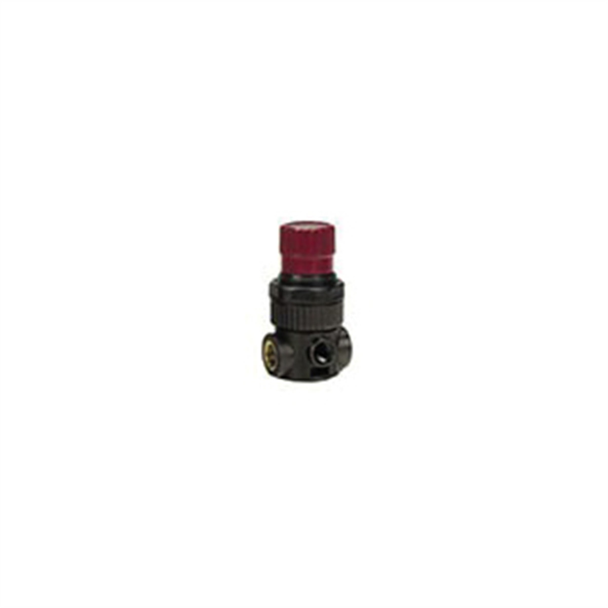 Reading Technologies MR-1 HVLP Mini Regulator, 1/4 in Inlet/Outlet, 200 psi RT
