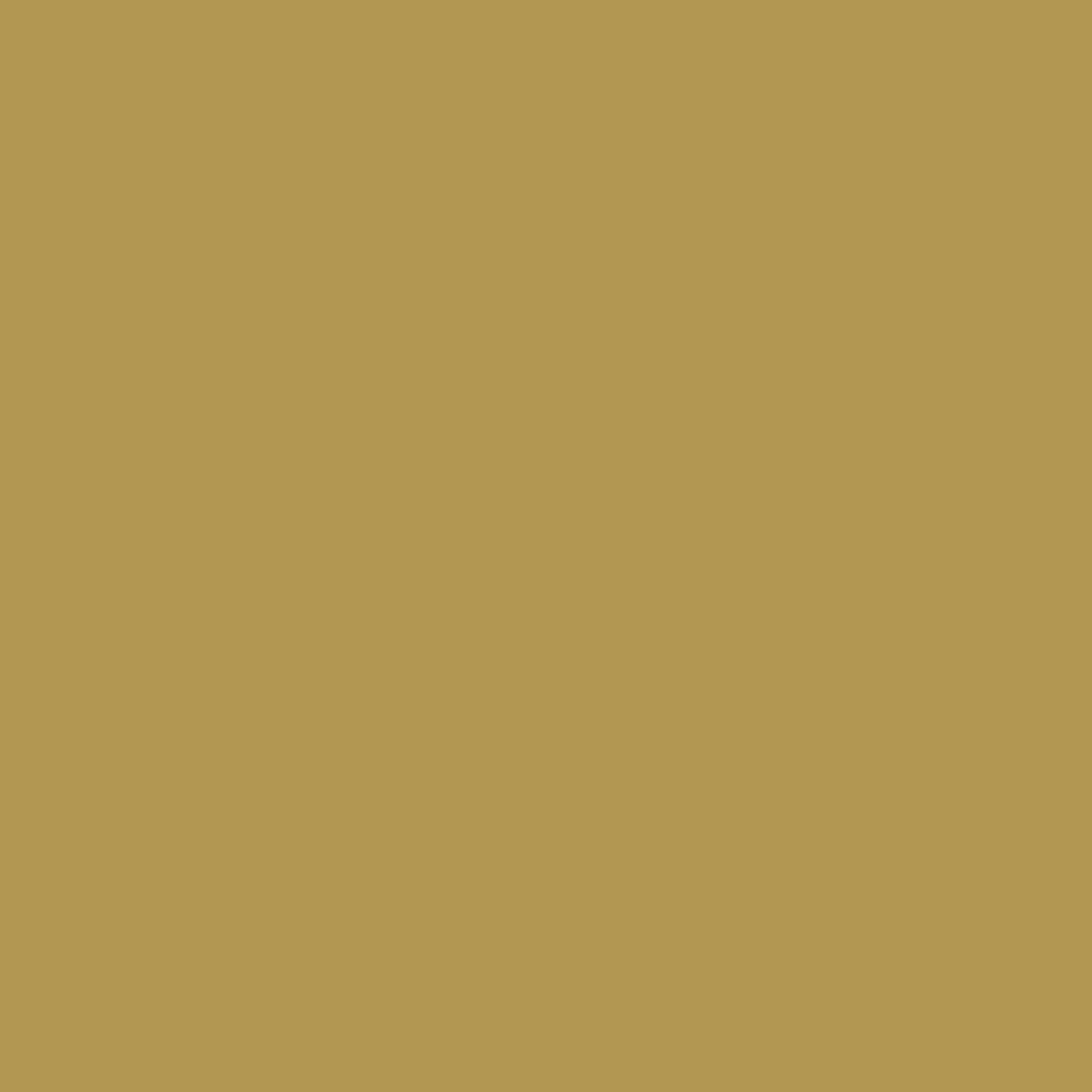 Dupli-Color Ebgm04917 Perfect Match Automotive Spray Paint General Motors Gold