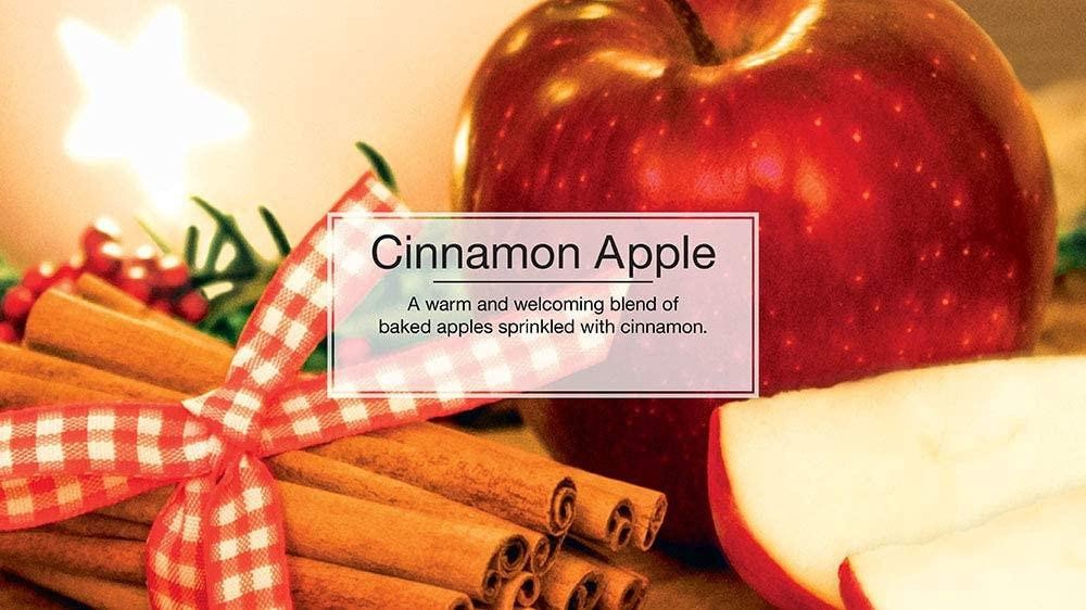 Little Trees 60338 Cinnamon Apple Hanging Air Freshener for Car & Home 96 Pack!