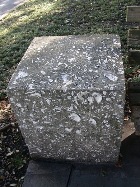Oyster Shells for Landscaping and Concrete “Tabby Concrete” BULK by the pound