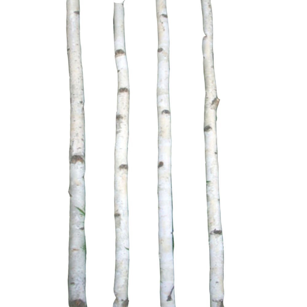 8 Thin White Birch Poles 2′