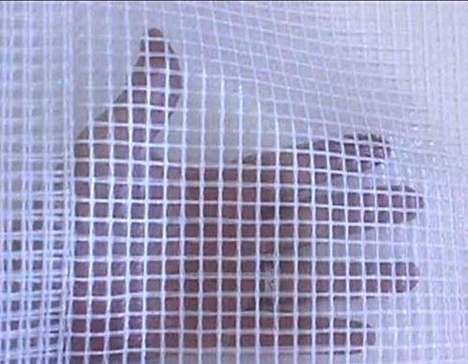 8′ X 16′ Clear Heavy Duty Poly Tarp 14 mil with Grommets for Nursery Greenhou…