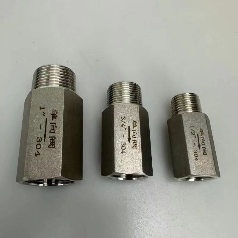 Stainless steel male and female check valve 1/8-1 inch stainless steel check