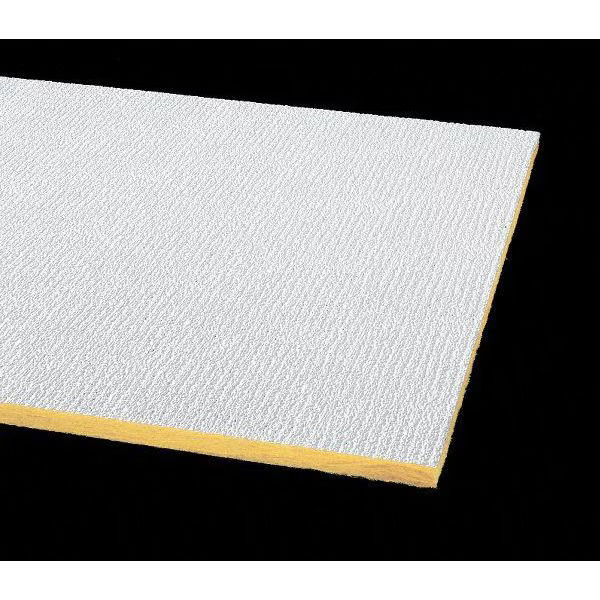 Armstrong Shasta Ceiling Tile, 24 in W x 48 in L, Square Lay-In, 15/16 in Grid
