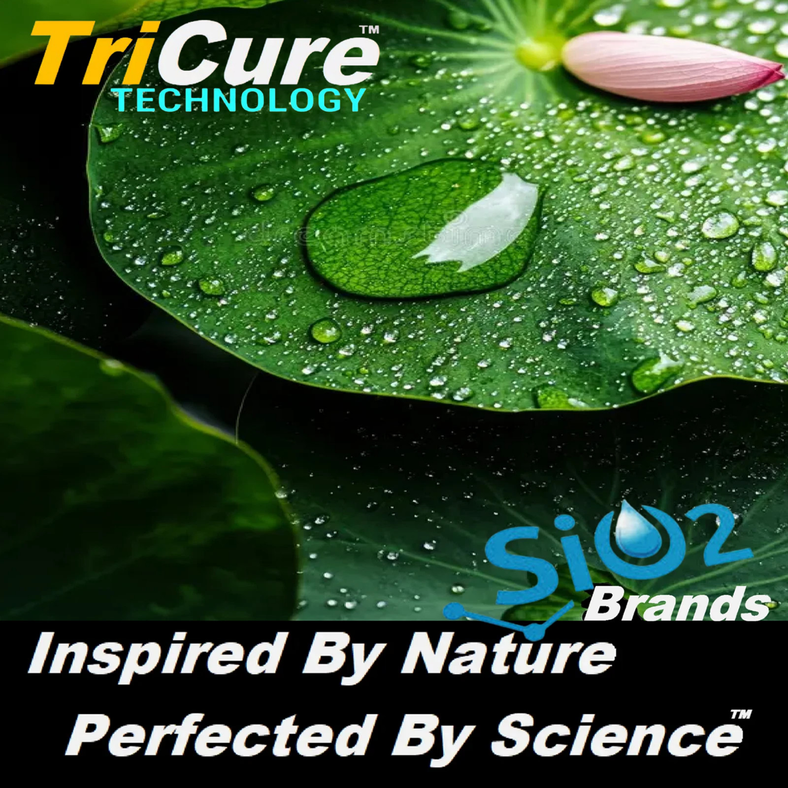 ROOF COATING ASPHALT SHINGLES NANO ROOF COATING STAIN UV FADE MOLD RESISTANCE