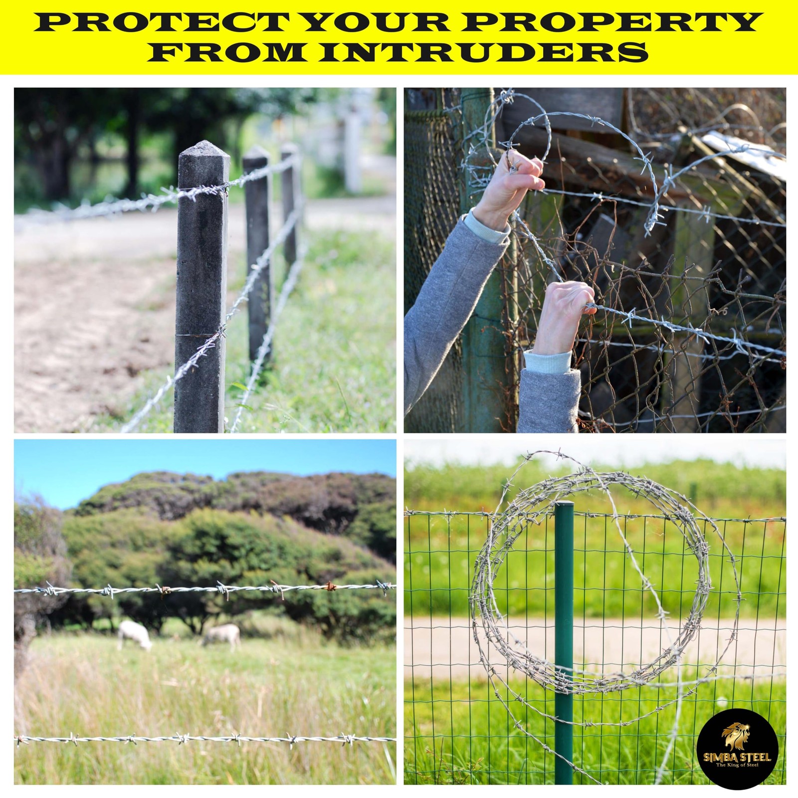 25 FT Roll of Real Barbed Wire Fence | 4 Point | 16 Gauge 25 FT, Silver