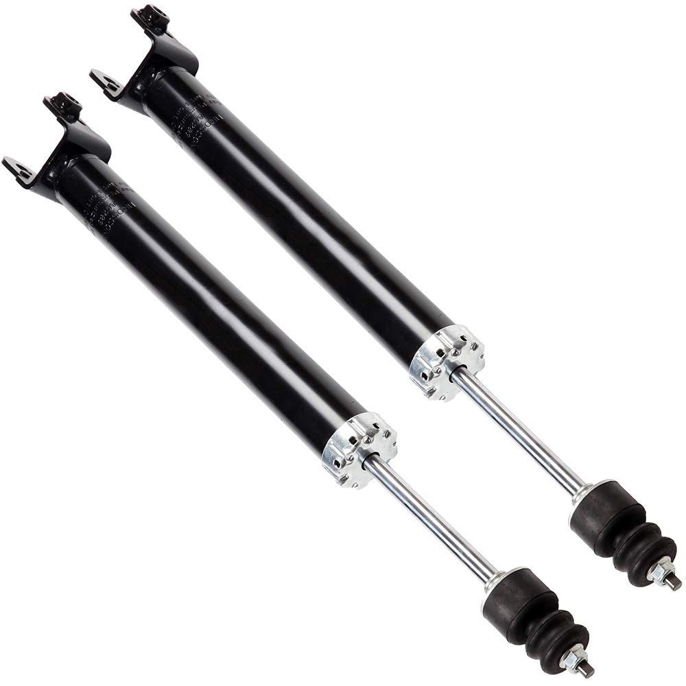 2x Rear Struts Shock Absorbers for 2009-2013 Maxima 349139
