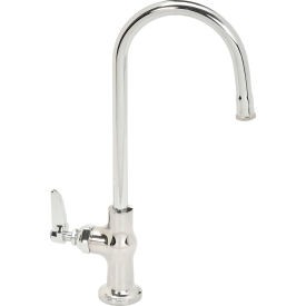 T&S Brass B-0305 Single Pantry Faucet Brass B-0305 671262003544 Silver