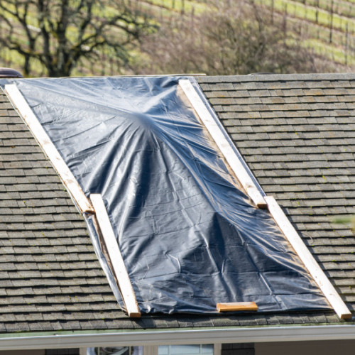 Vapor Barrier Supply – Poly Cover Black Vapor Barrier Plastic Sheeting – 2 Mil
