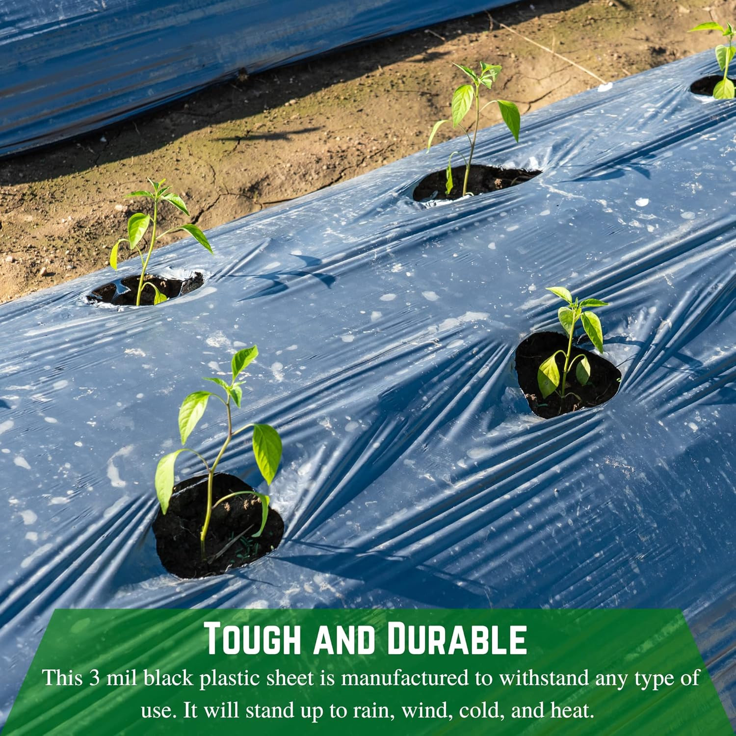 Heavy-Duty 3 Mil Black Plastic Sheeting 4′ x 200′ – Vapor Barrier Tarp